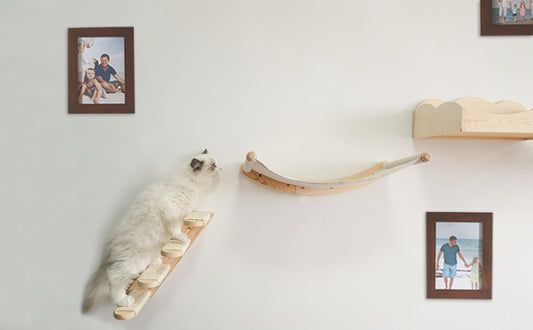 Wall-Mounted Cat Climbing Frames: A Space-Saving Solution