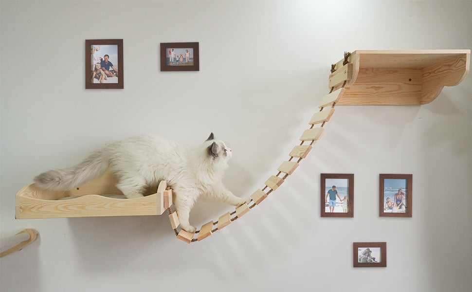 Cat Wall Shelves