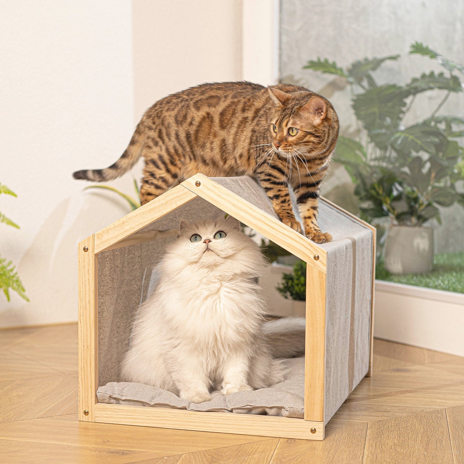 Cat Condo