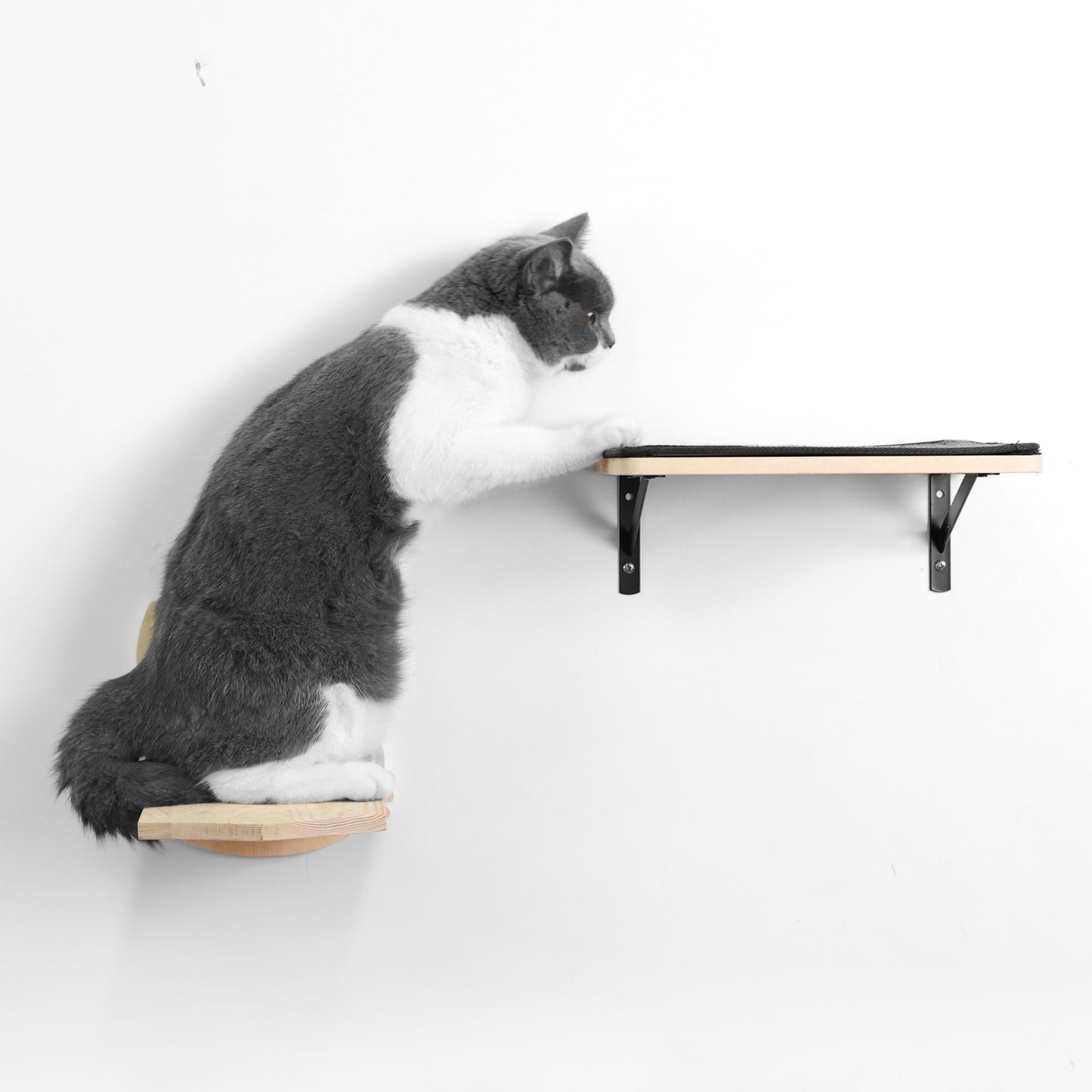 Wood Cat Wall Shelf Set for Active and Happy Cats