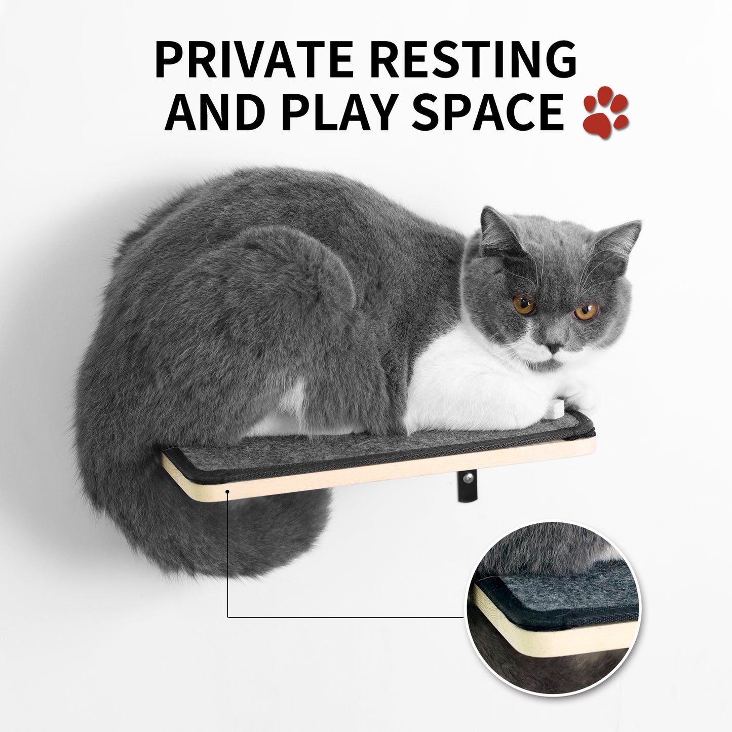 Wood Cat Wall Shelf Set for Active and Happy Cats