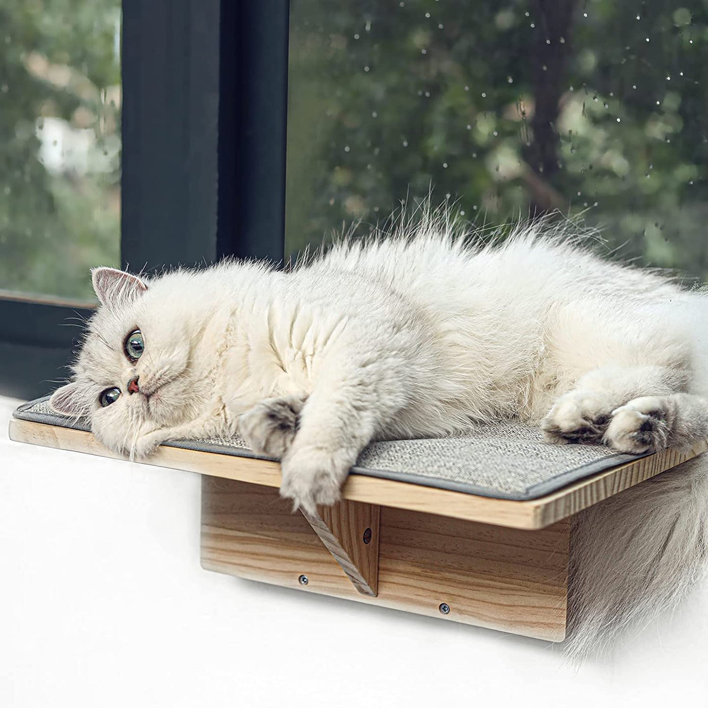 Sturdy and Comfy Cat Window Perch for Sunbathing and Relaxation