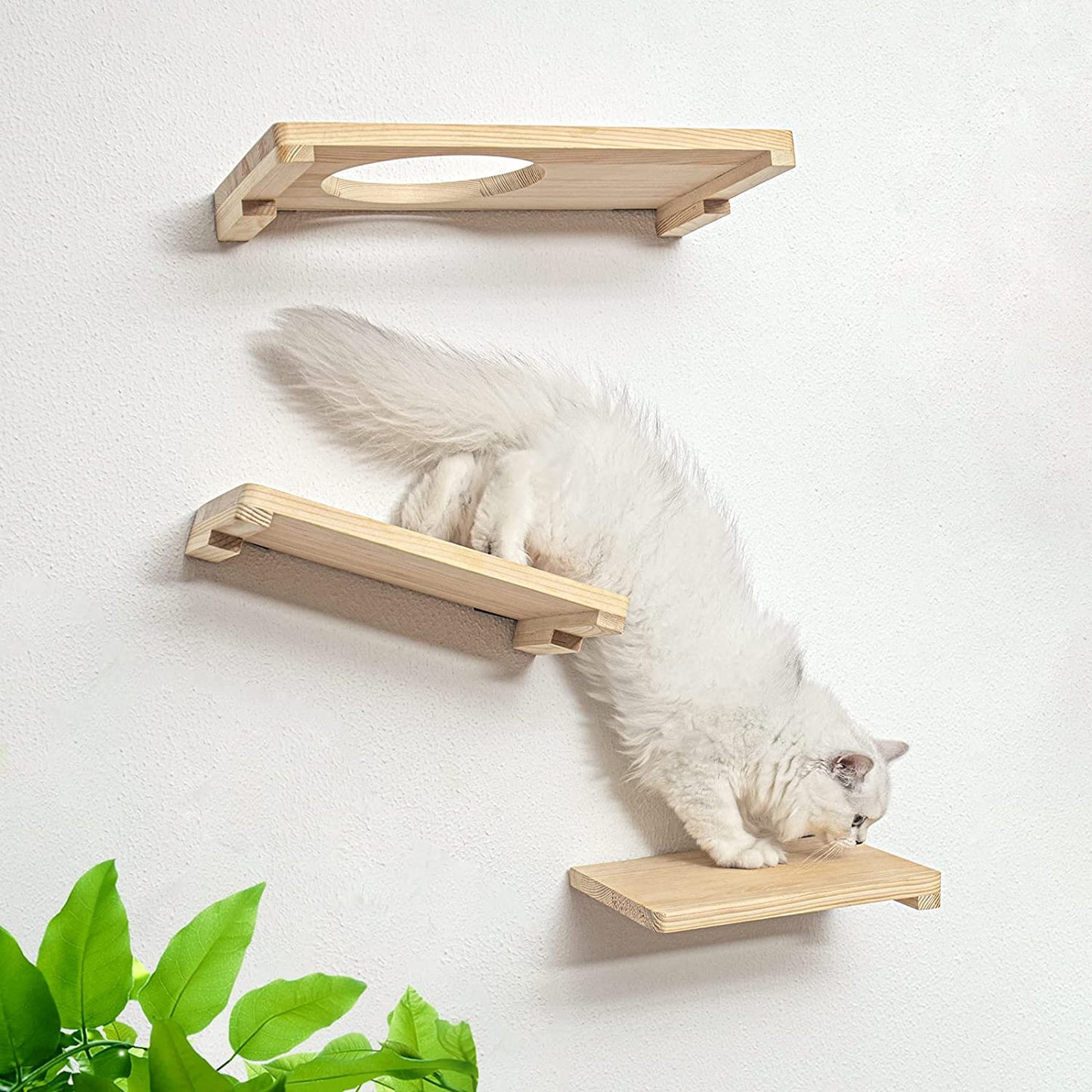 Cat Activity Wall Shelves