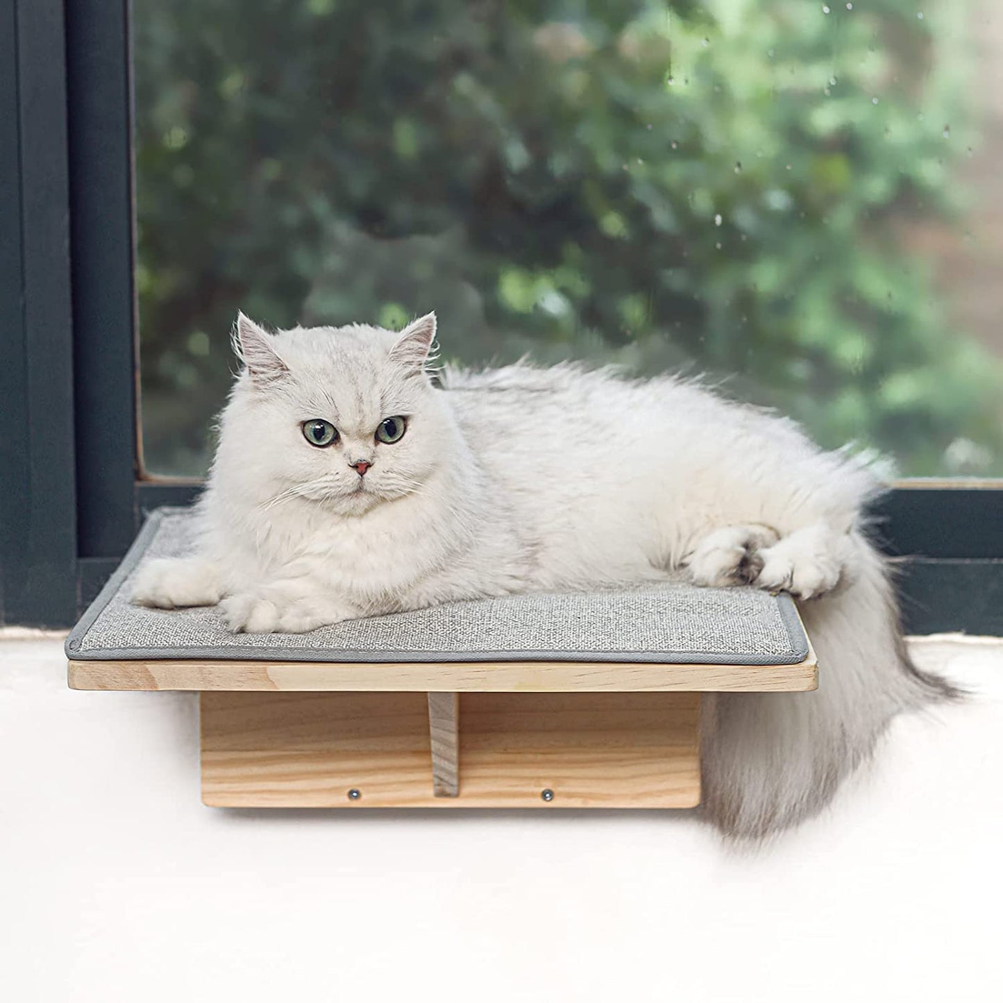 Sturdy and Comfy Cat Window Perch for Sunbathing and Relaxation