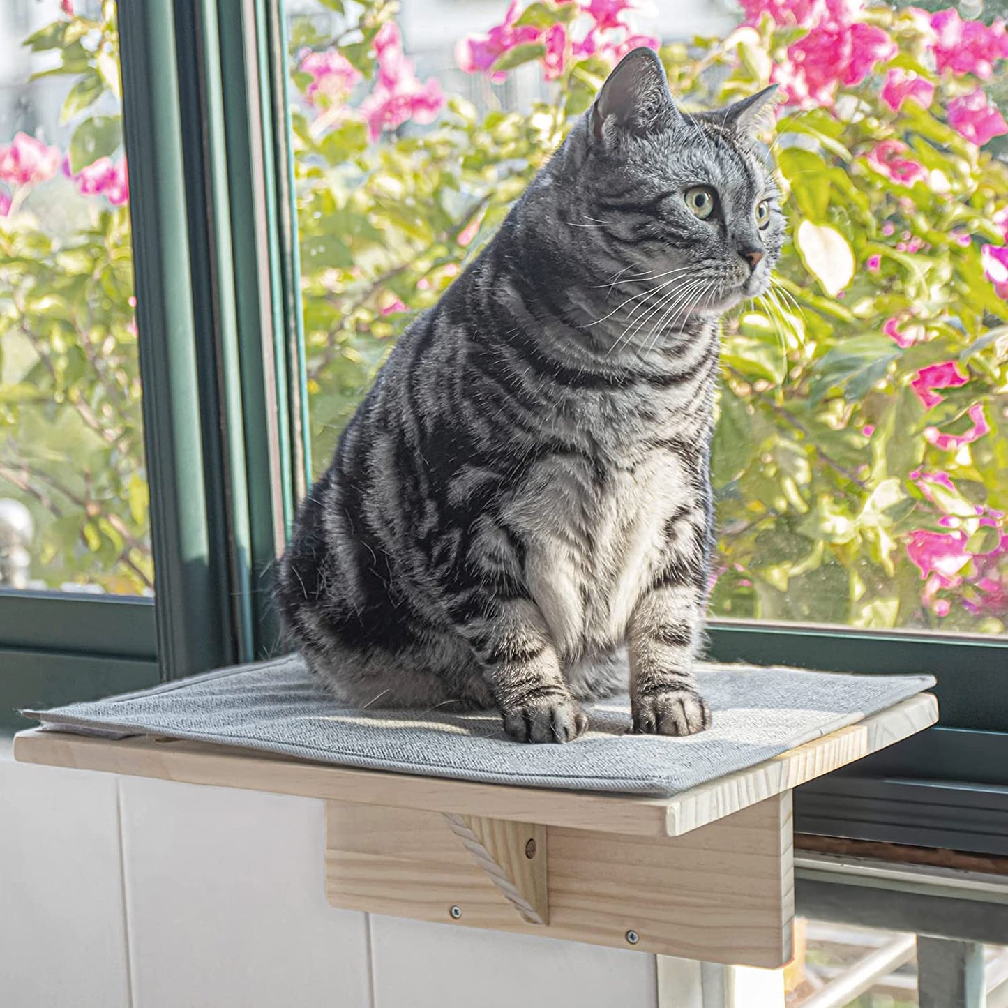 Sturdy and Comfy Cat Window Perch for Sunbathing and Relaxation