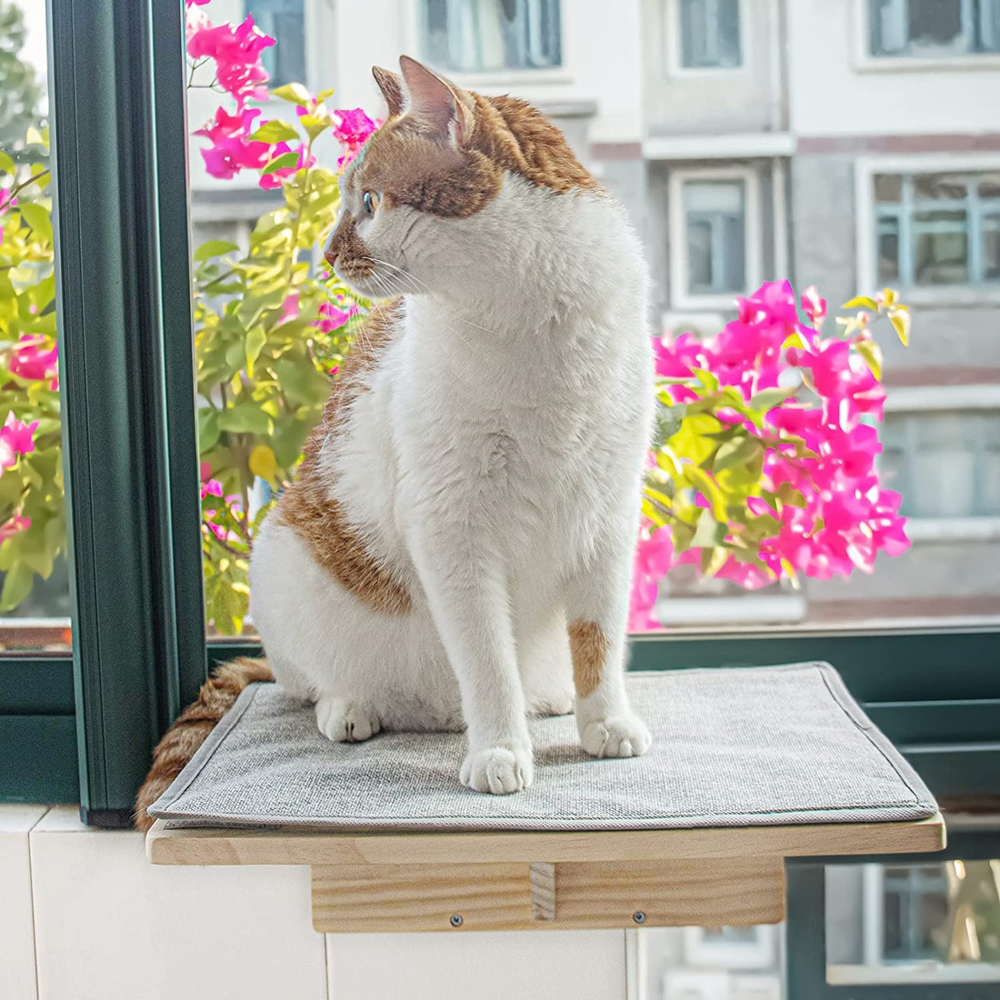 Sturdy and Comfy Cat Window Perch for Sunbathing and Relaxation