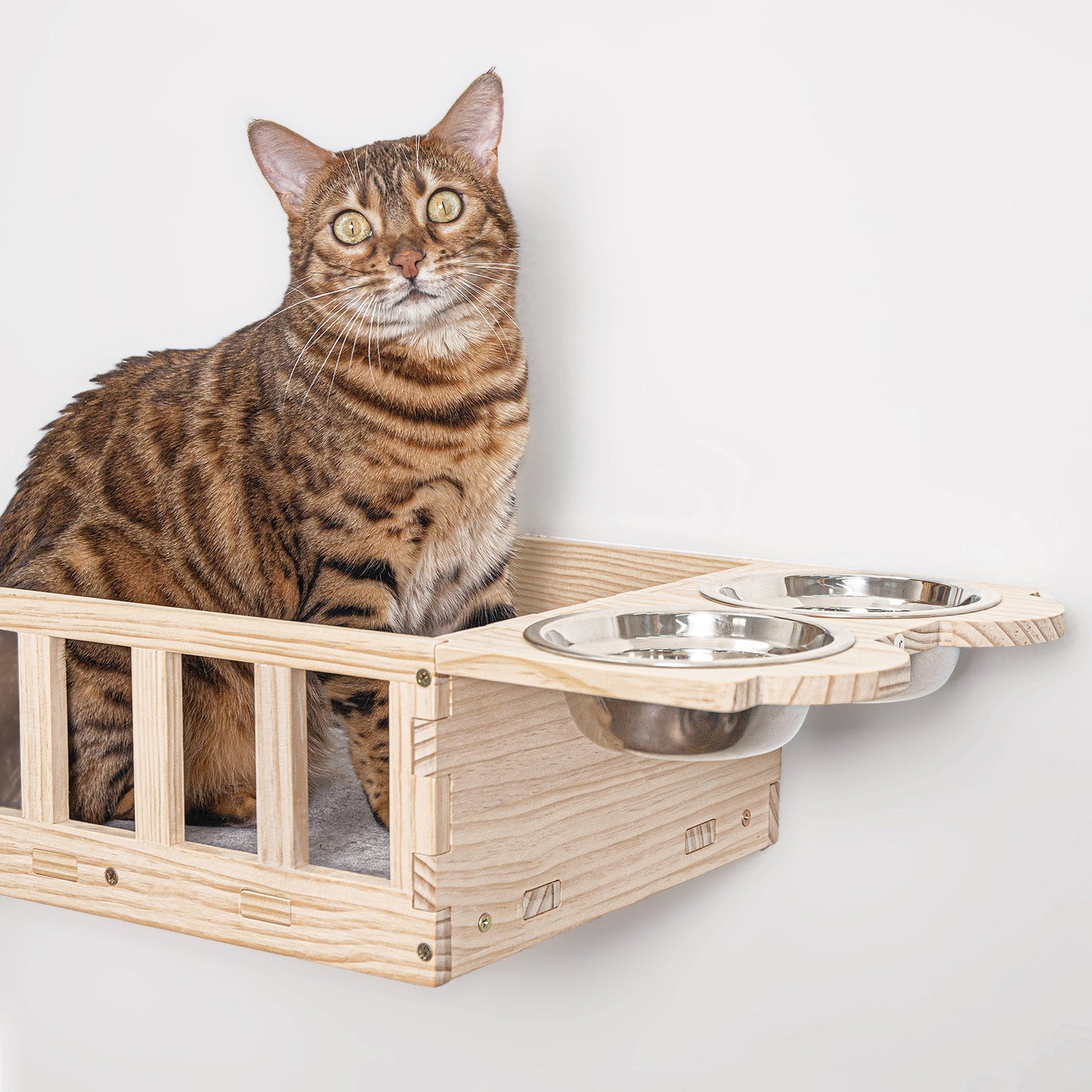 Wall-Mounted Cat Feeder with Bed for Eating, Drinking and Sleeping